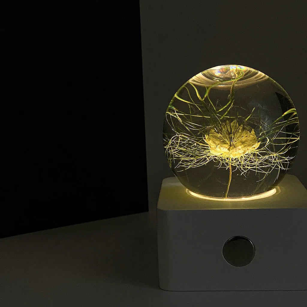 8cm USB desktop night light with preserved dandelion and sunflower botanical specimen