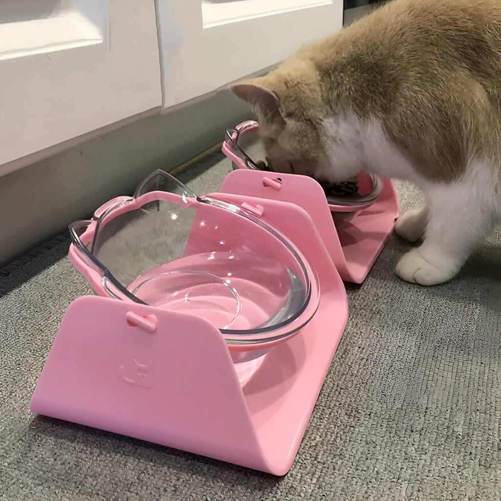 Adjustable plastic cat bowl with 15 degree tilt in Blue colour on a flat surface