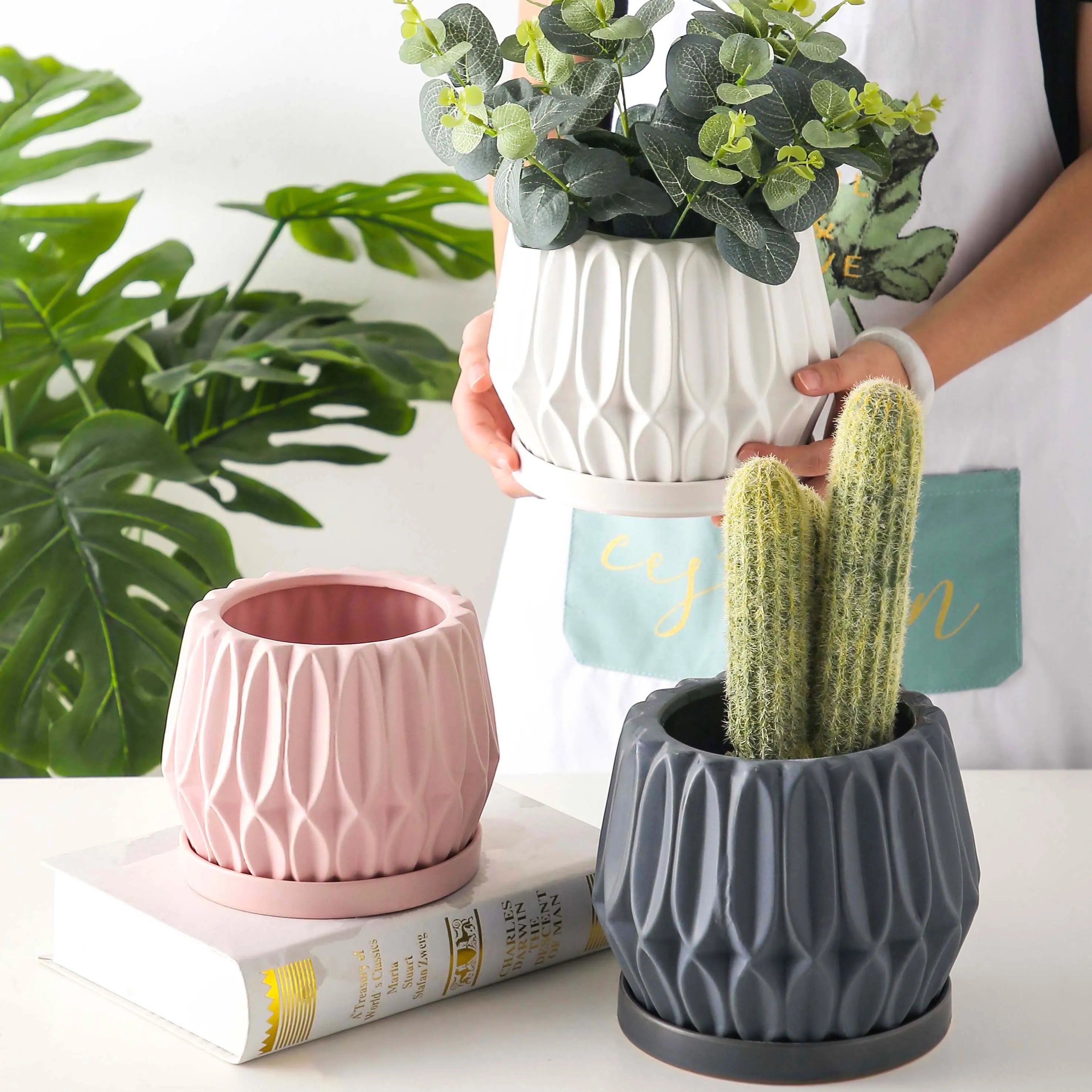 Grey ceramic desktop plant flowerpot medium size for tabletop plants
