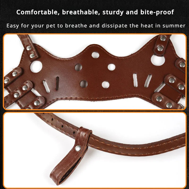 Black dog muzzle silencer mouth cover with adjustable straps on a medium-sized dog