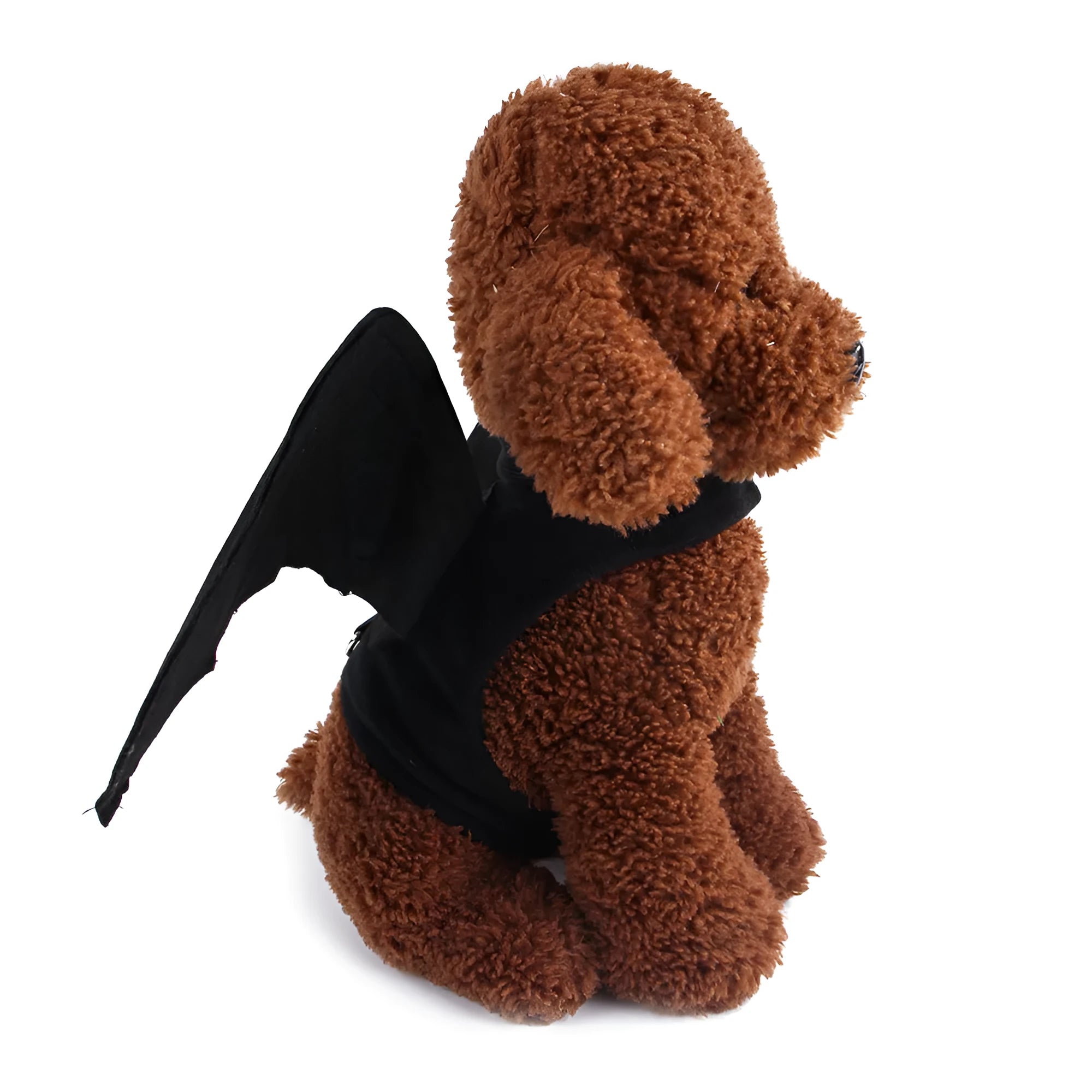 Black cloth dog Halloween bat costume with 3D foldable wings on a small pet
