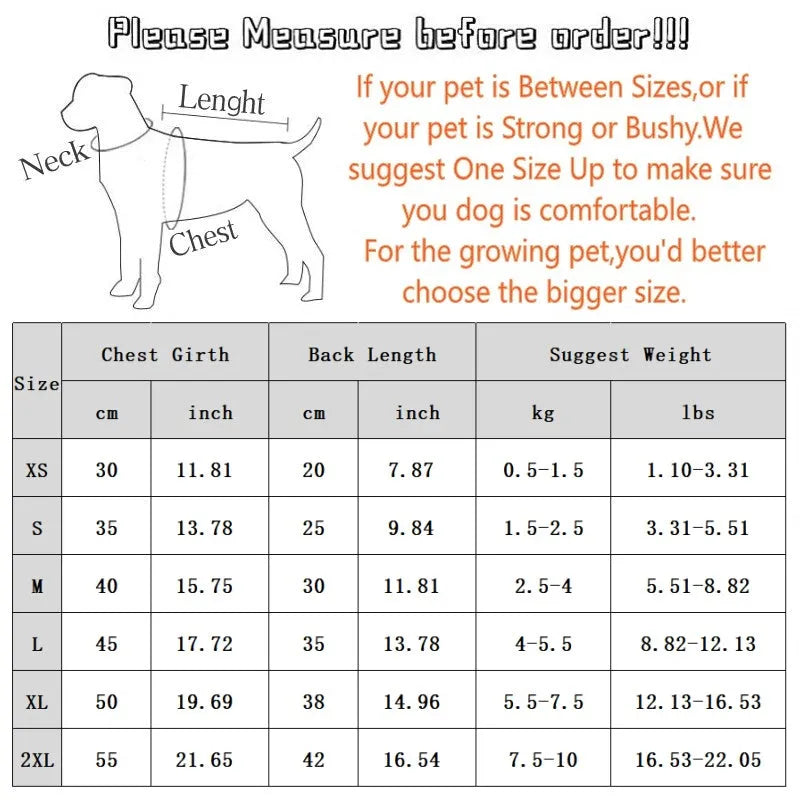 Green fleece dinosaur costume for small dogs with four legs, white chameleon back, and cartoon eyes