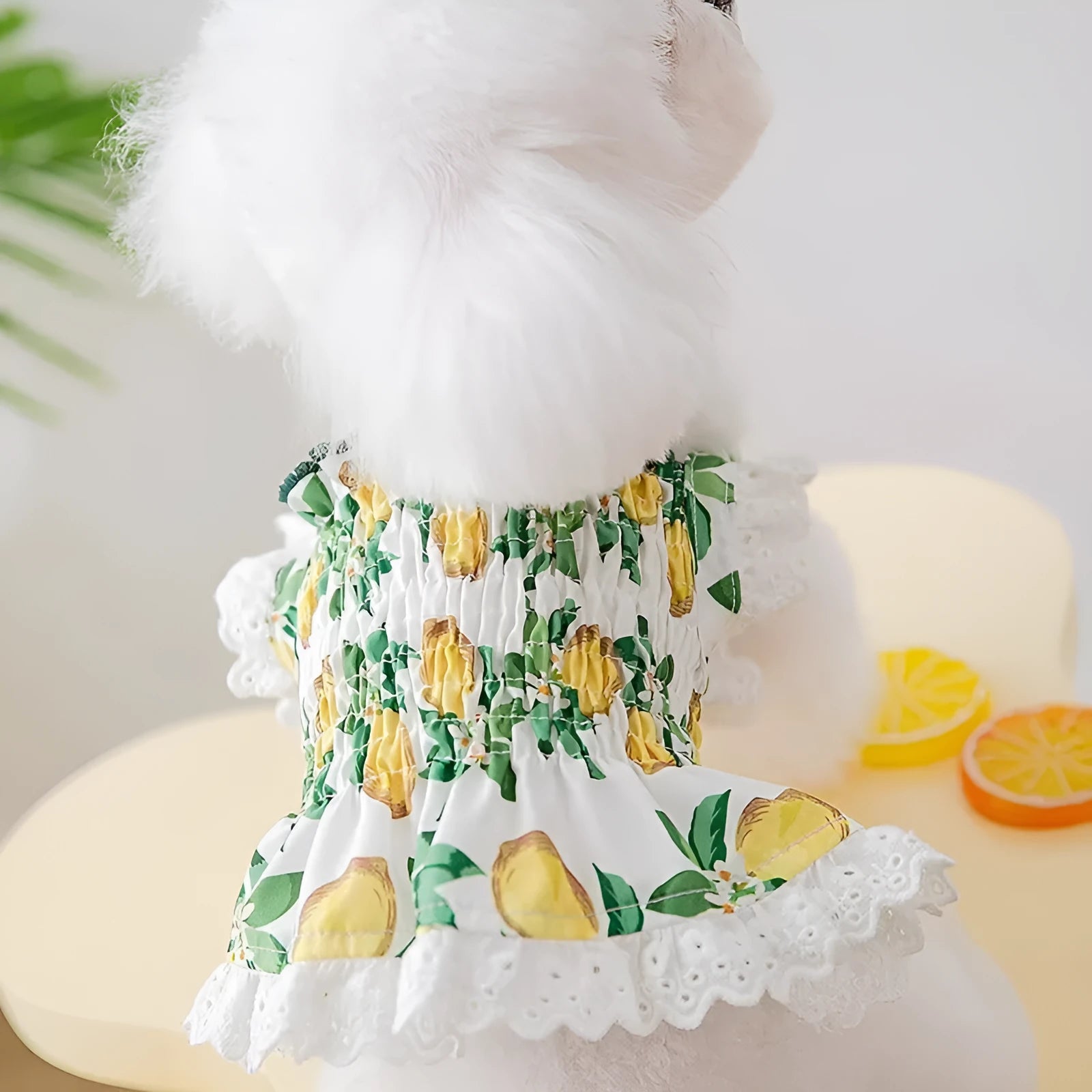 Rock yellow lemon polyester dog dress with breathable straps for small to medium dogs