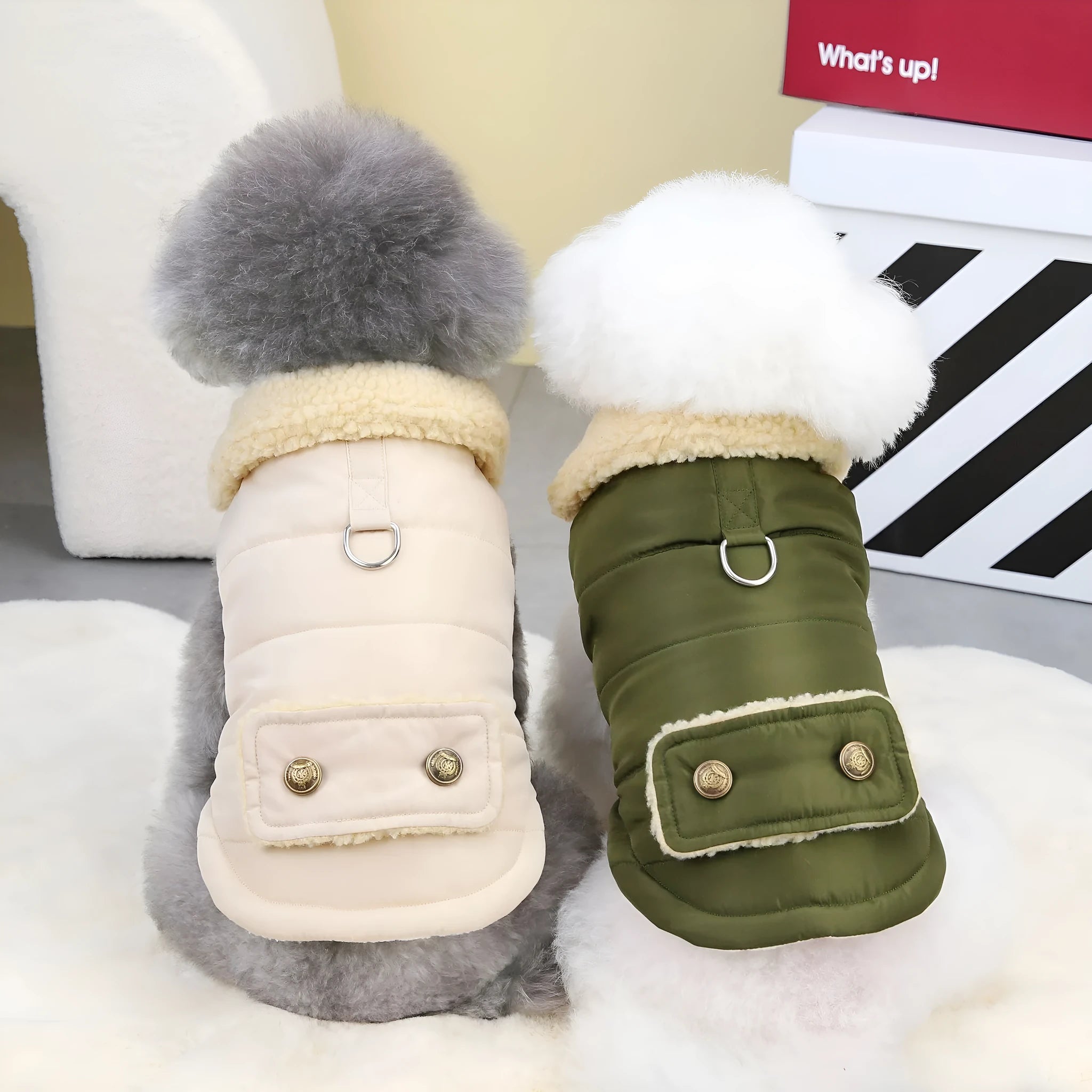 Teddy cat Nordic fur collar cotton vest in green, front view on pet