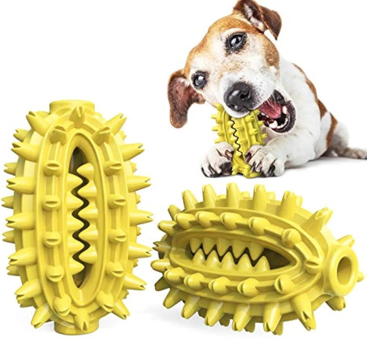 Green cactus-shaped dog toothbrush toy with textured bumps and a central treat channel on a white background.