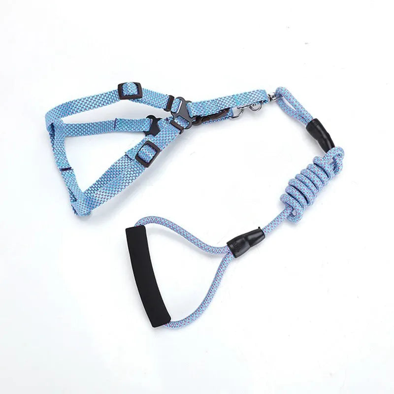 Nylon dog traction belt hand-held rope in blue for small medium large pets walking training