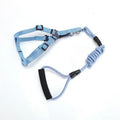 Nylon dog traction belt hand-held rope in blue for small medium large pets walking training