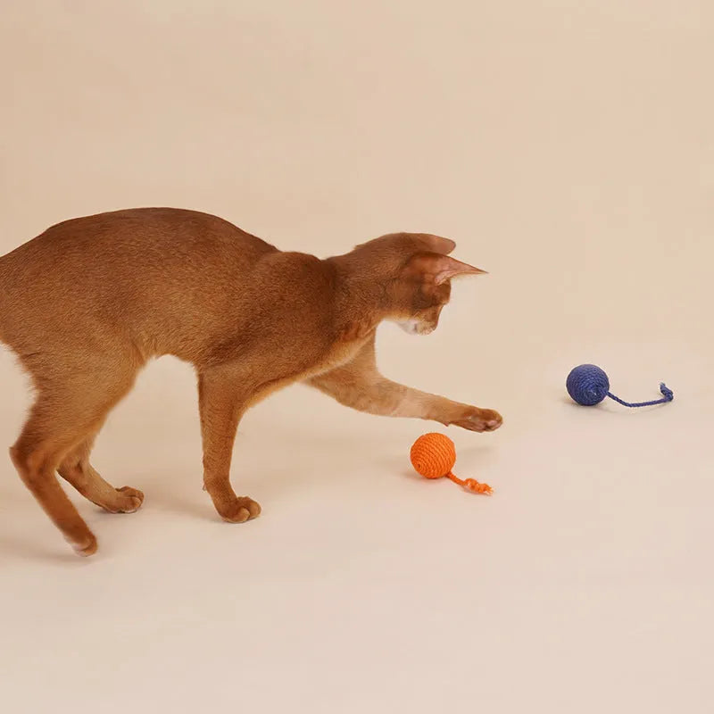 Four-piece cat toy set showing teaser stick and coloured, bite-resistant catnip balls.