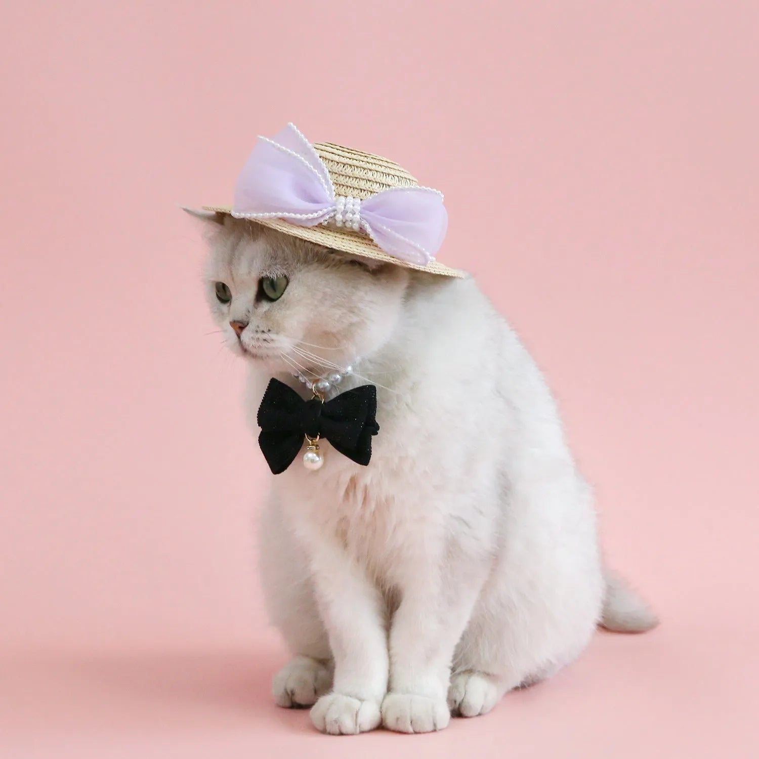 Woven Lafite leaf cat hat with pearl butterfly bow decoration in pink, purple, blue or white colours