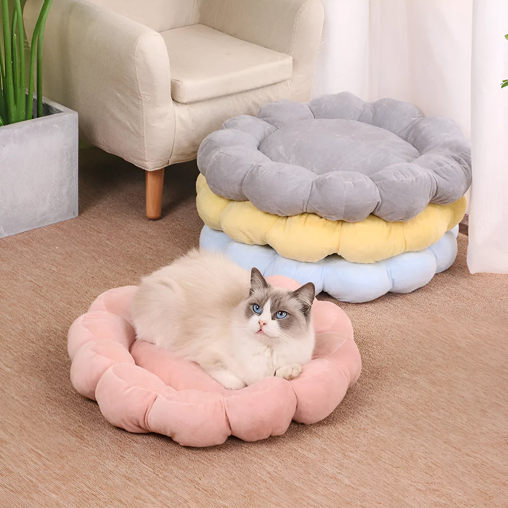 Blue half-surrounded petal design plush pet bed measuring 50x50cm for cats and small dogs