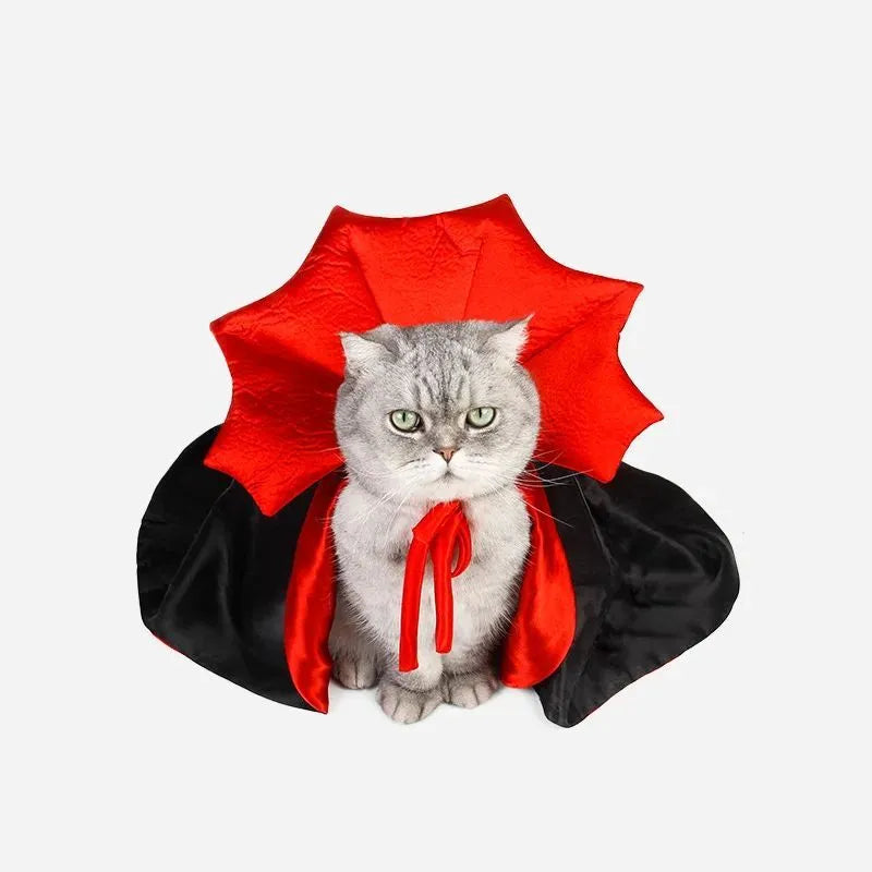Black vampire cloak pet costume on a small dog, showing Velcro neck fastening.