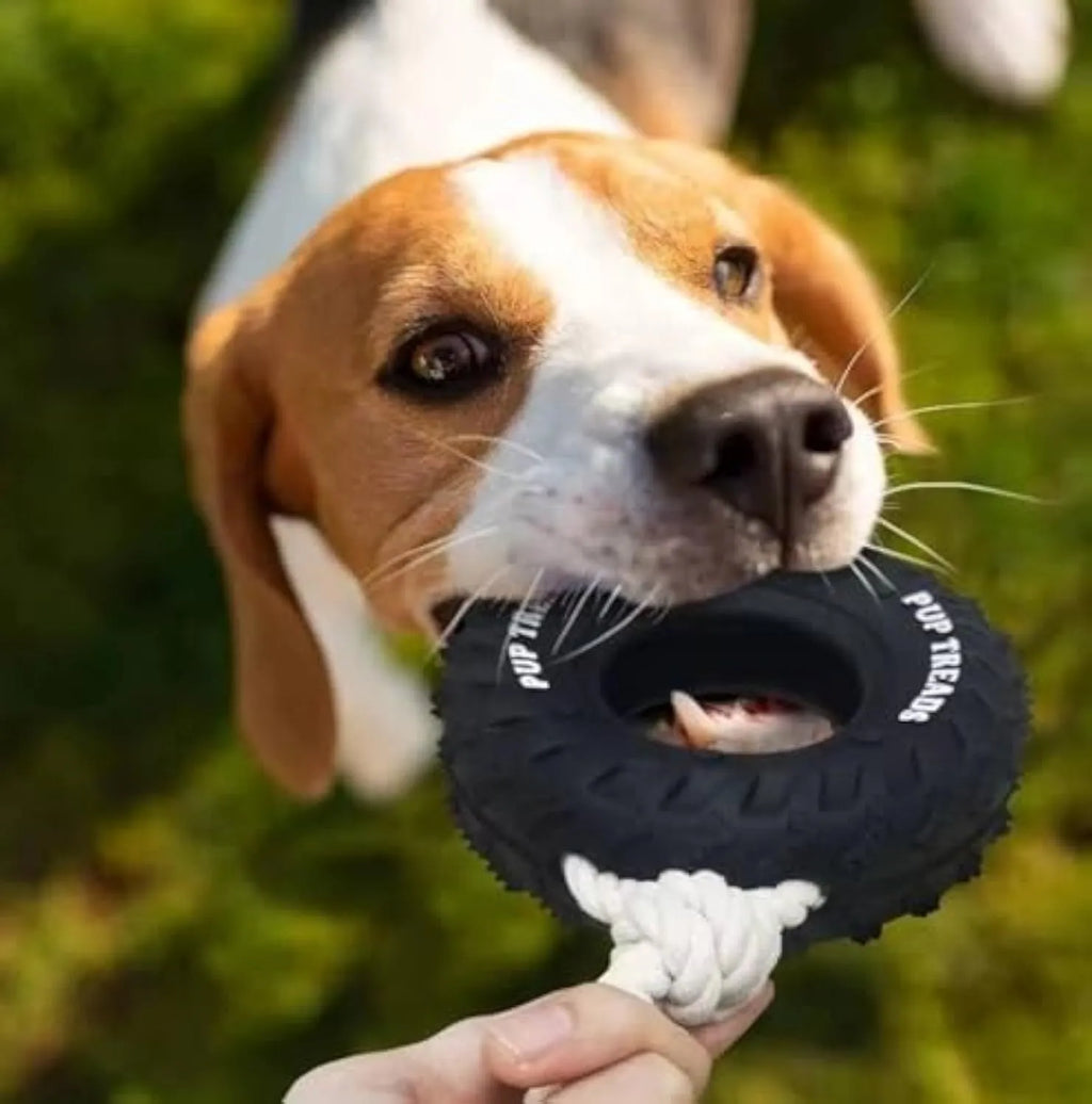 Durable natural rubber dog chew toy for aggressive chewers, tire design, large 35cm size, black