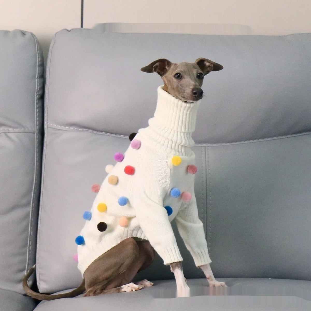 White pom pom Christmas sweater for Italian Greyhound or Whippet, unisex acrylic knit jumper
