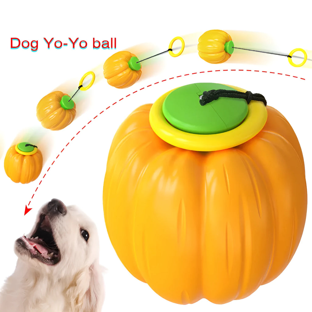 Green, orange, and yellow plastic pumpkin-shaped dog ball with squeaker for small dogs.