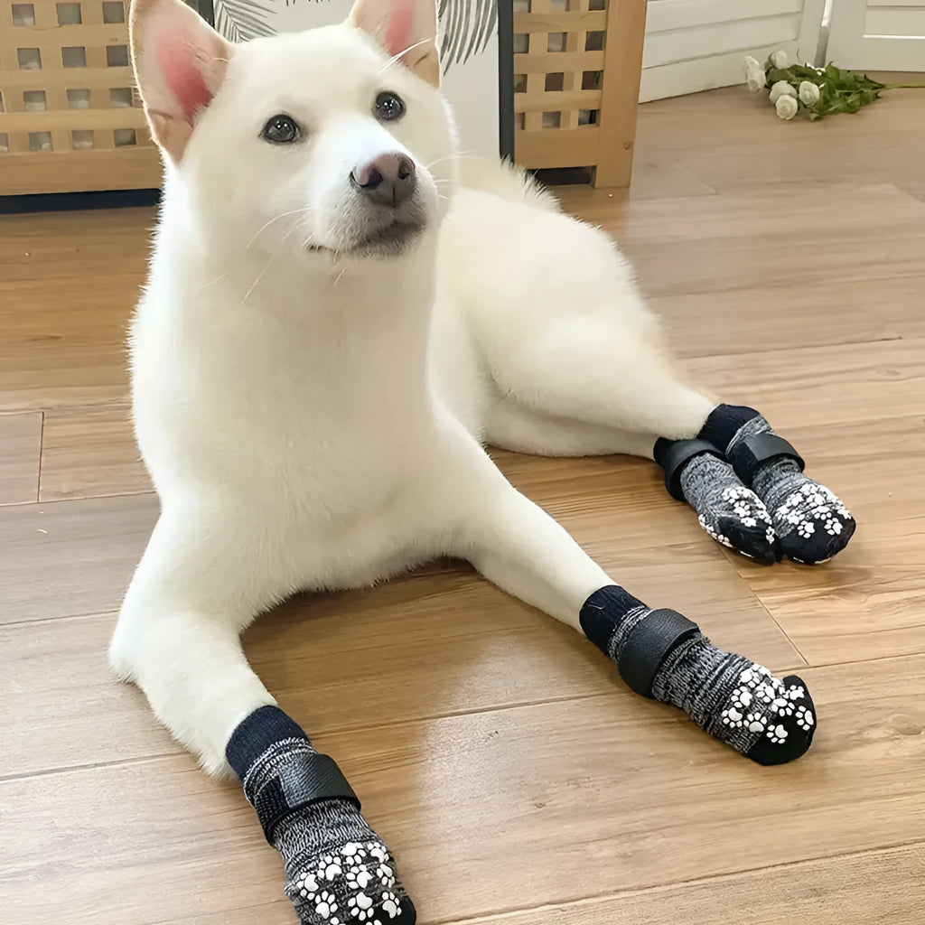 Medium dog ankle socks in gradient grey and yellow cotton, striped, waterproof, sizes S M L