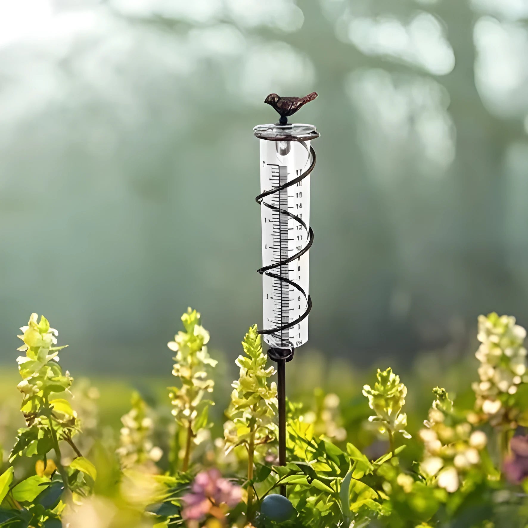 Traditional cast iron bird design outdoor rain gauge with glass measurement chamber showing 1-20 scale