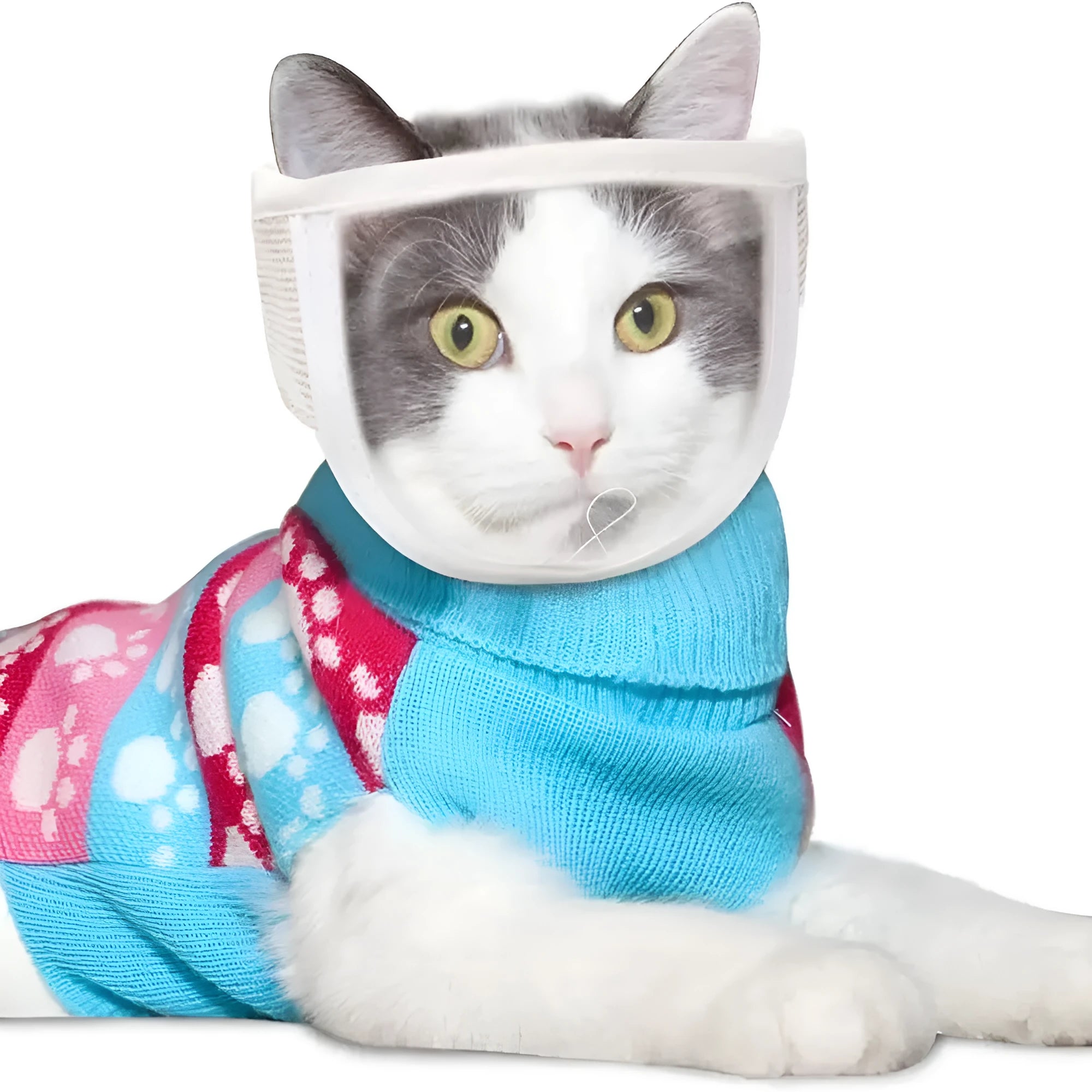Clear cotton and PVC cat anti-bite muzzle for grooming with size options S and M