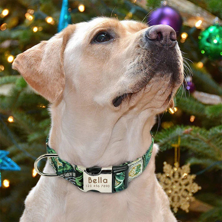 Durable, reflective dog collar with adjustable fit for small, medium, and large breeds. Crafted from polyester and alloy metal with engraved pet information.