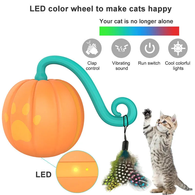 Electric cat teasing ball with LED lights in watermelon and pumpkin colour designs on wooden floor