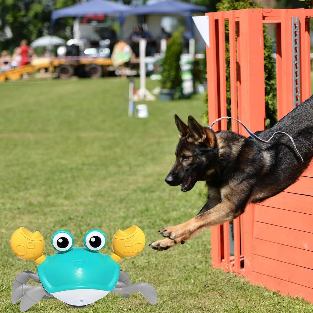 Blue crawling crab dog toy with obstacle avoidance sensors and LED lights
