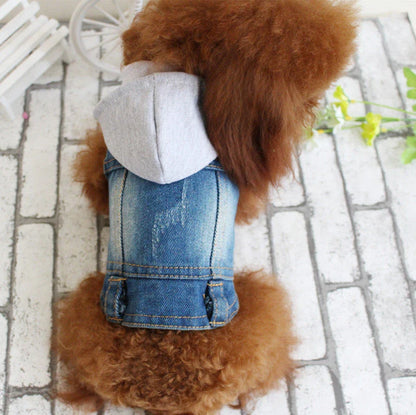 Stylish denim dog jackets and vests in a variety of designs for small pets