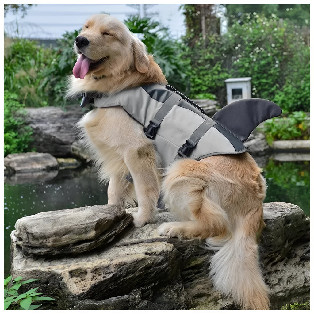 New pet life jacket dog outdoor swimming suit in Oxford cloth and cotton, shark style, pink colour, on a dog near water