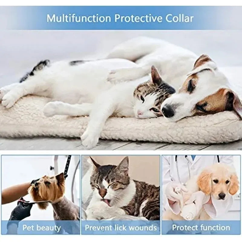 Blue inflatable dog recovery collar shown on a pet, with size chart for XS, S, M, L, XL.