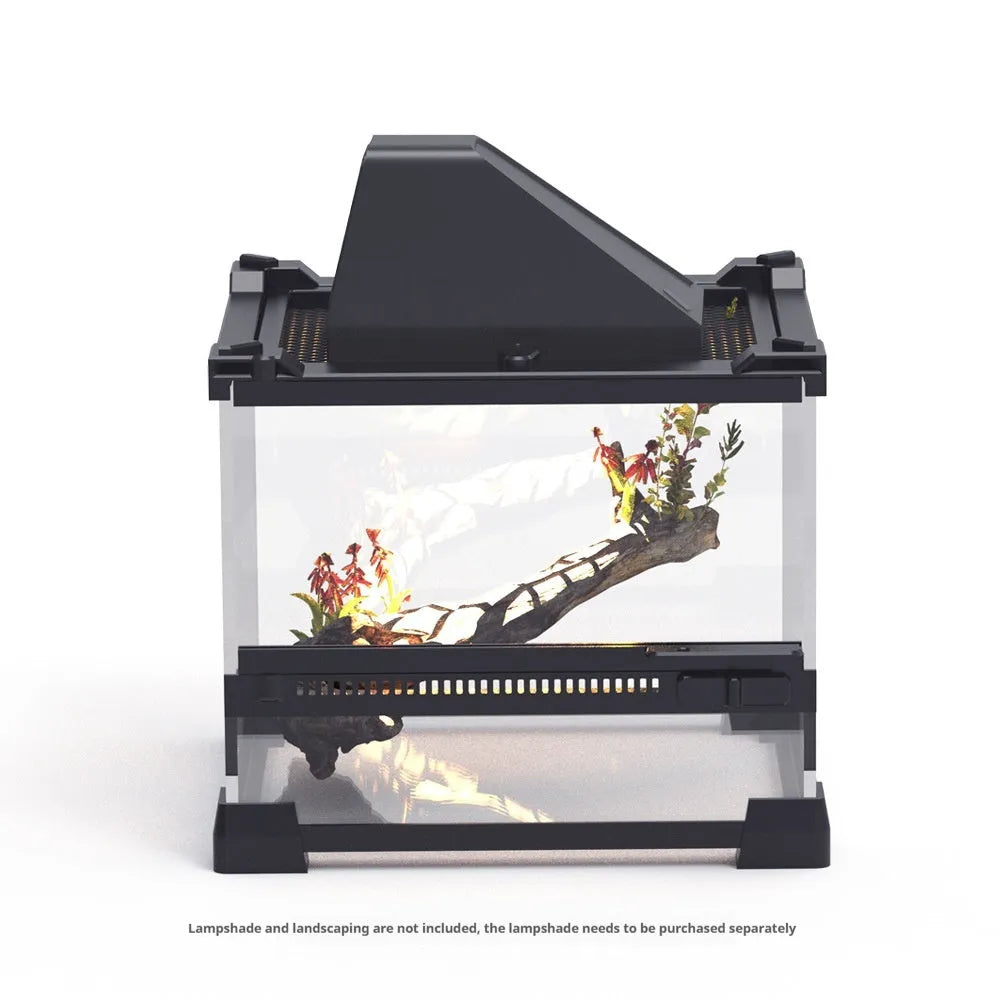 Transparent glass cylinder enclosure for lizard and turtle climbing and feeding