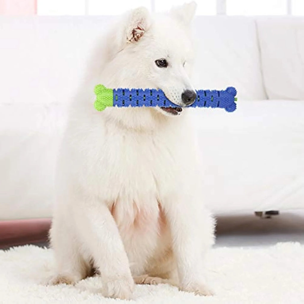 Blue-green molar-shaped dog dental chew toy with silicone bristles for teeth cleaning