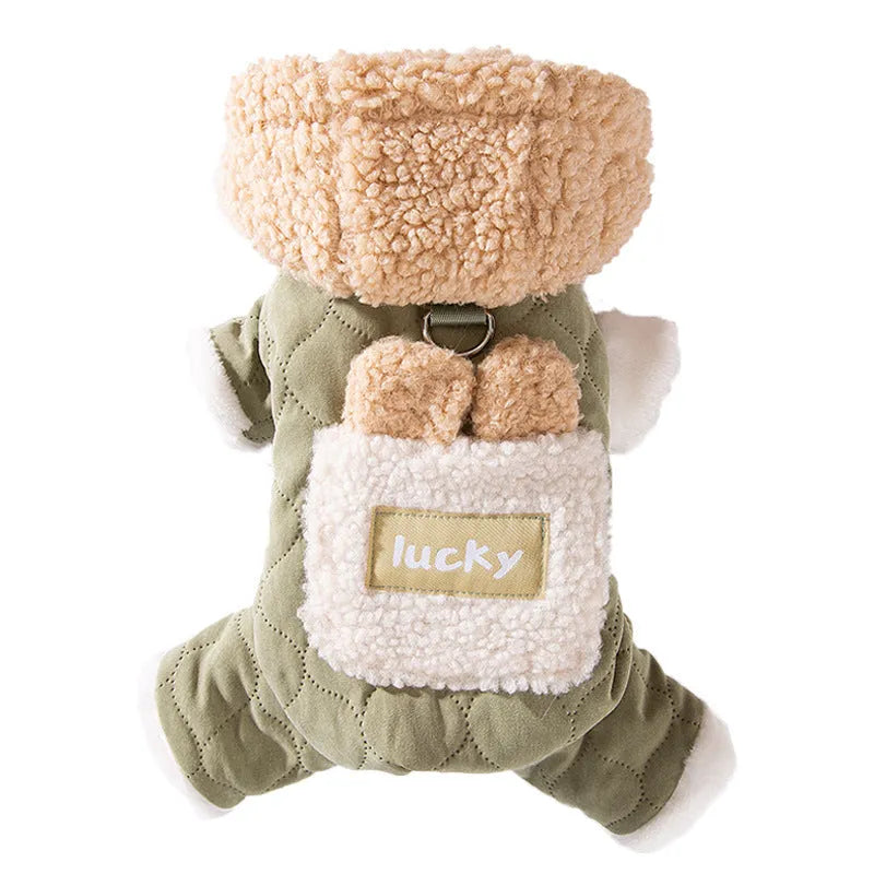 Four-legged cotton dog coat for small breeds with D-ring in brown colour on a Bichon Frise