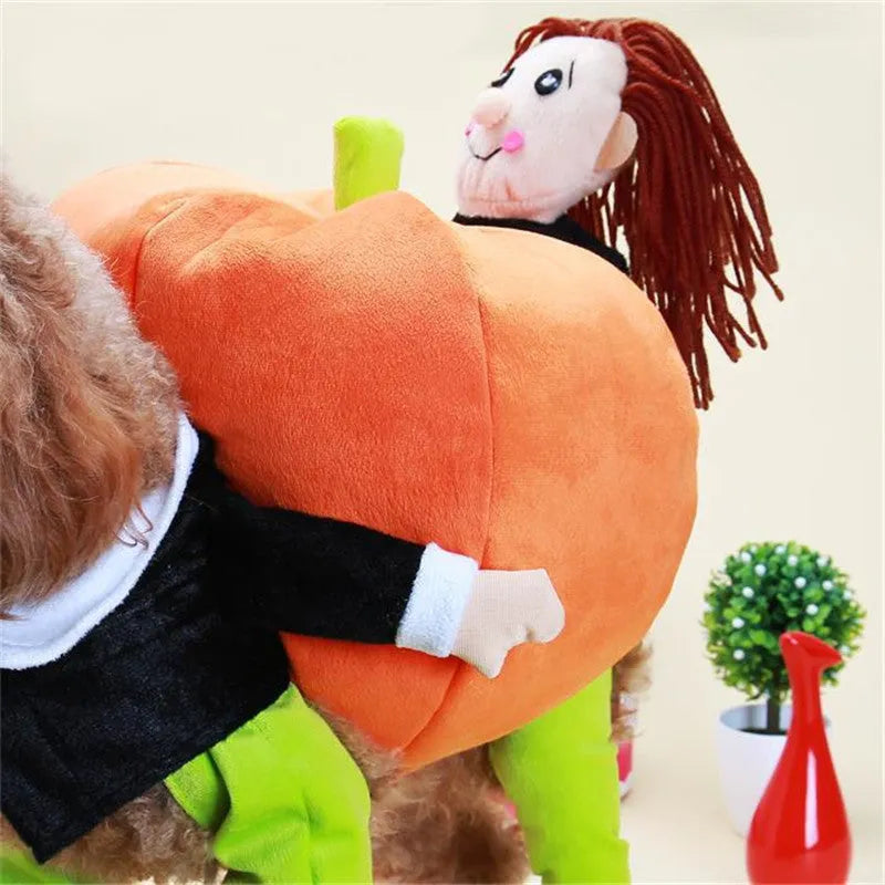 Orange cotton pet Halloween pumpkin costume with adjustable Velcro bust on a dog