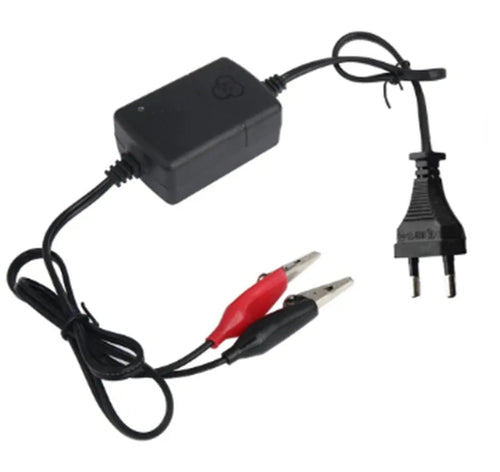 Compact 12V black battery charger for car truck motorcycle with 1250mA output on white background