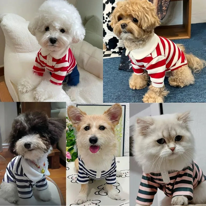 Cute dog polo shirt with striped collar for male puppy, breathable fabric, black colour