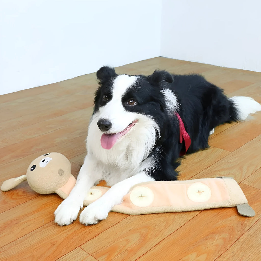 Plush poached bunny dog toy with food hiding compartments and soundmaking features