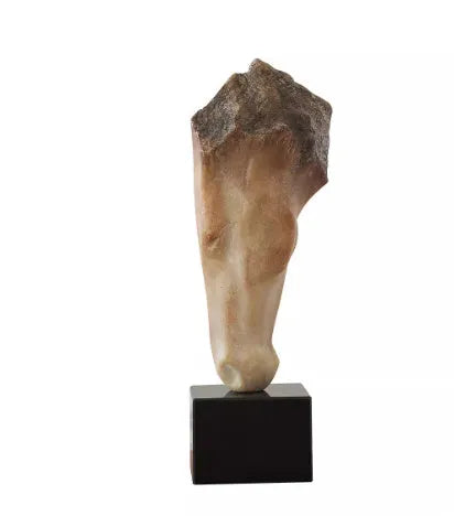 French retro abstract horse head desktop sculpture with carving surface finish