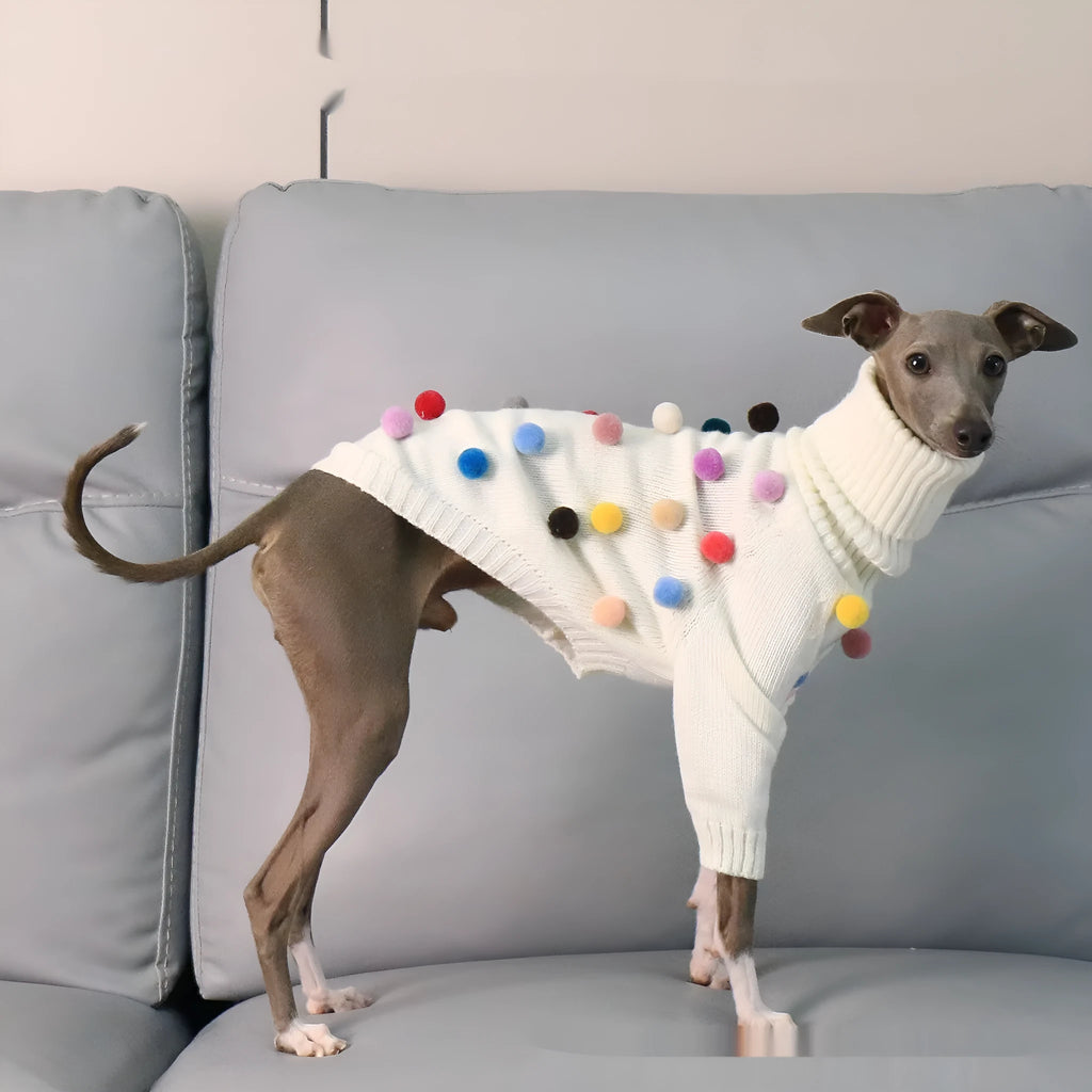 White pom pom Christmas sweater for Italian Greyhound or Whippet, unisex acrylic knit jumper