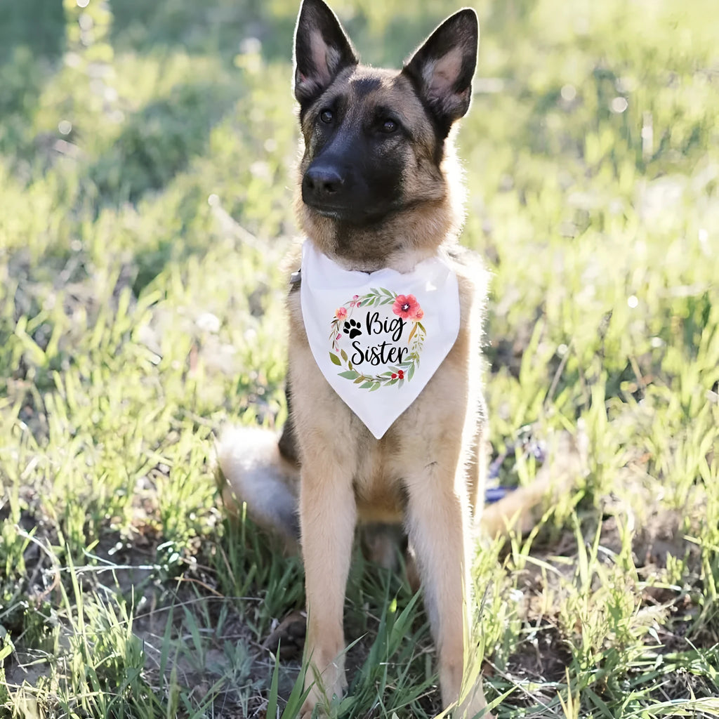 Wedding pet dog triangular binder scarf polyester letters pattern multicolour 42x42x62cm autumn casual style