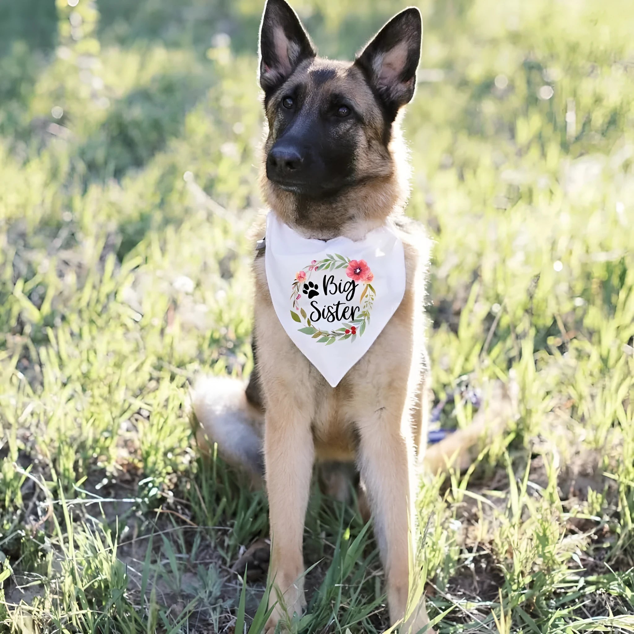 Wedding pet dog triangular binder scarf polyester letters pattern multicolour 42x42x62cm autumn casual style