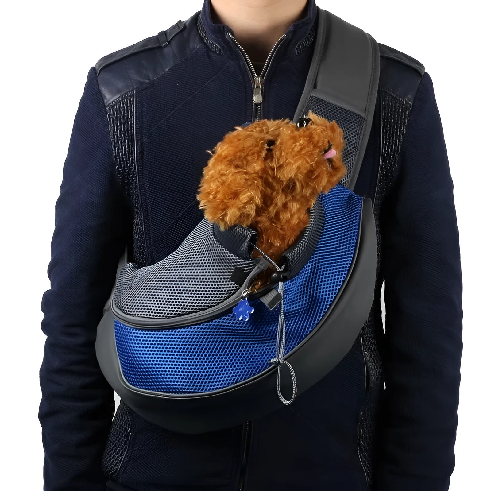 Blue pet backpack carrier for a small dog, showing shoulder straps and front mesh panel.