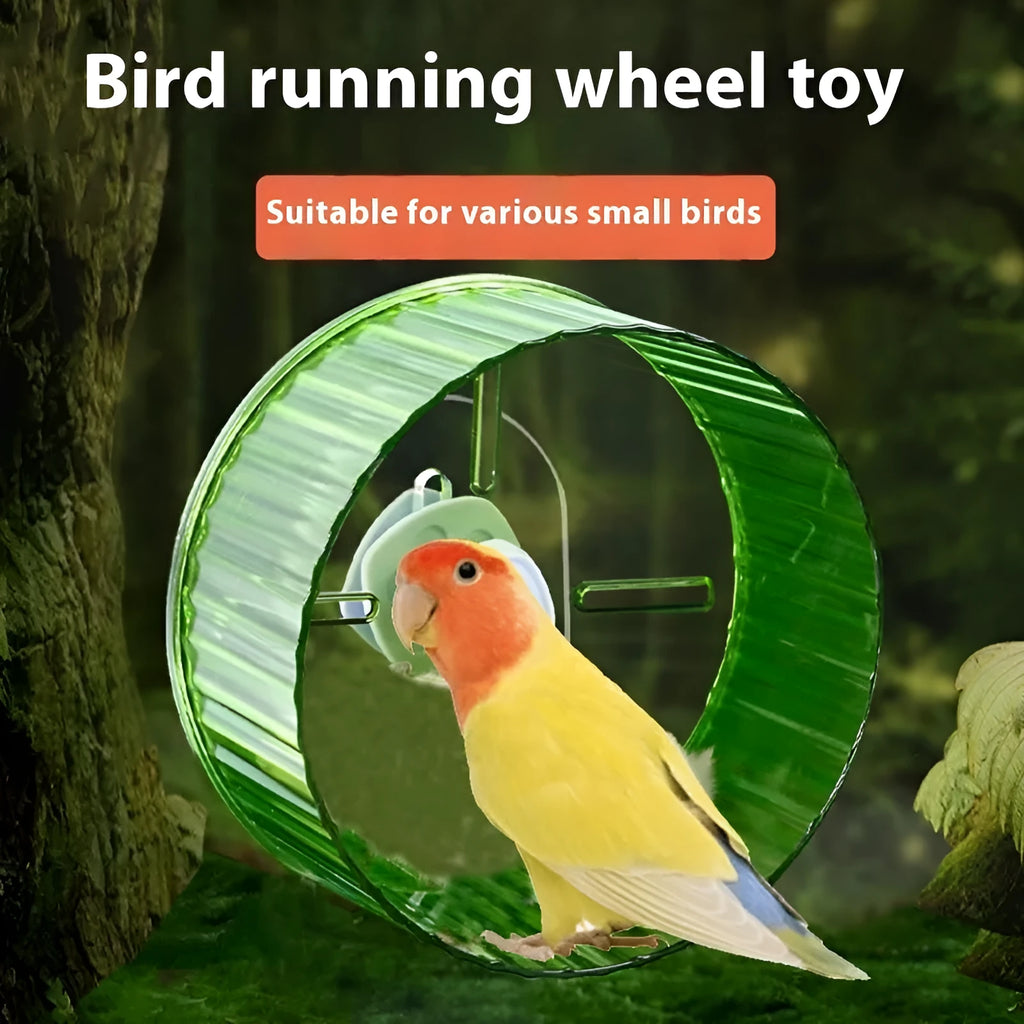 A transparent plastic bird running wheel toy mounted on green cage bars.