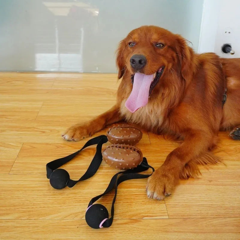 Brown coffee bean shaped dog chew toy with a central rope knot detail.