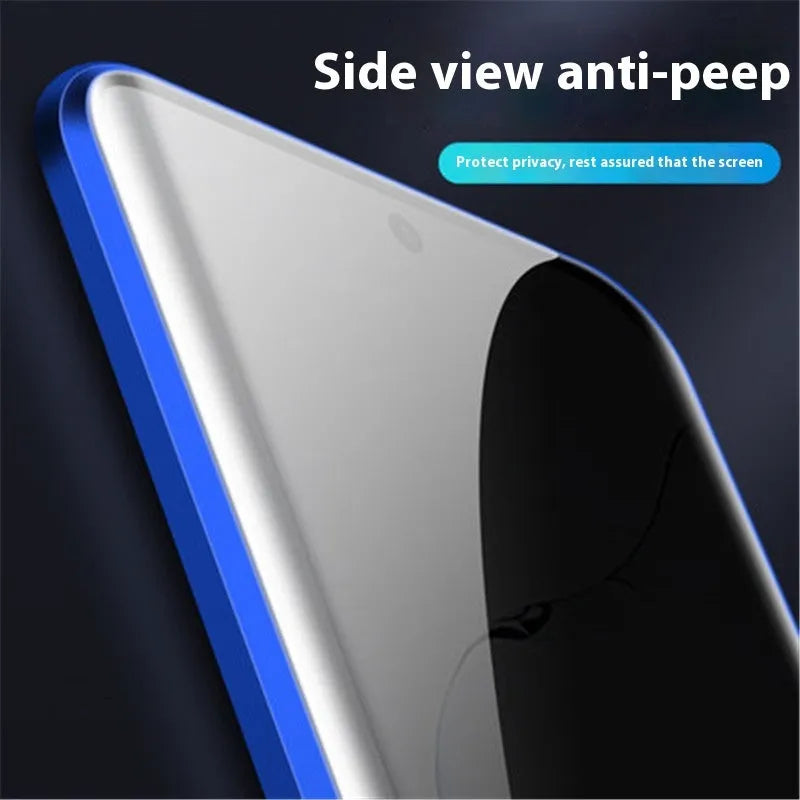 Samsung S24 Plus magnetic flip case with double-sided peep-proof glass and metal frame in black