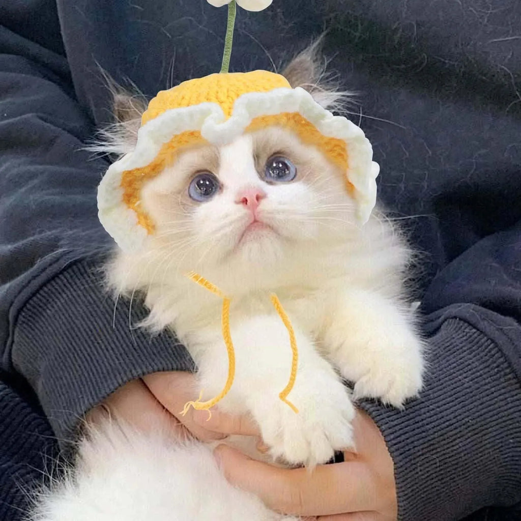 Green knitted cat hat with cartoon design on a pet