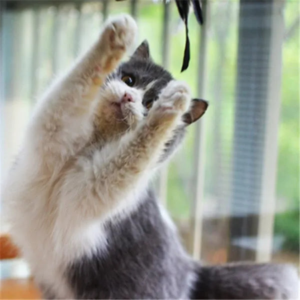 Funny cat stick with wooden handle, flexible rod, and black and white fur replacement head with feather and bell