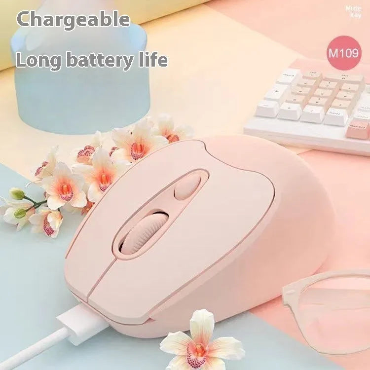 Bluetooth wireless mouse in various colours with charging cable