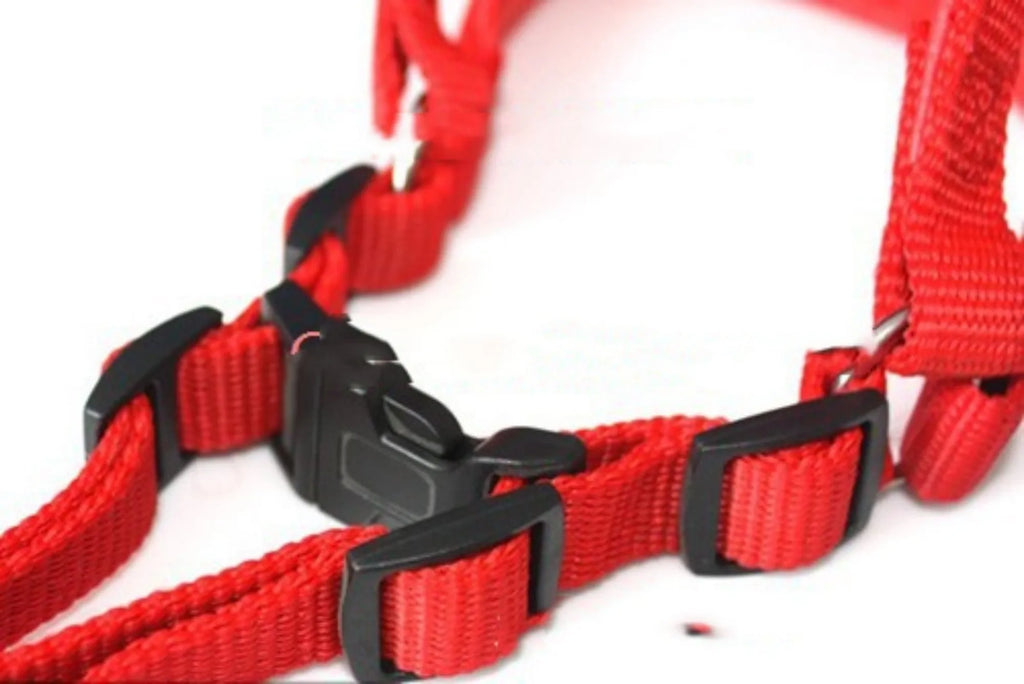 Soft-lined nylon pet harness with adjustable straps in black colour