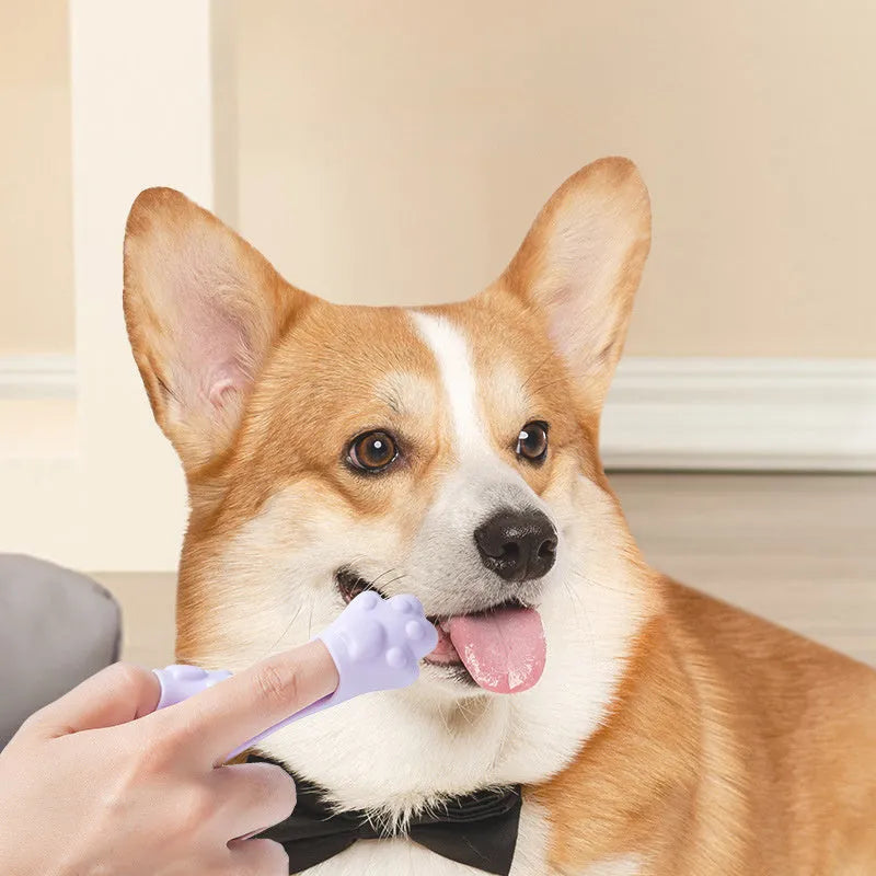 Silicone fingertip toothbrush for pets in pink, purple, and yellow, shown on a finger.