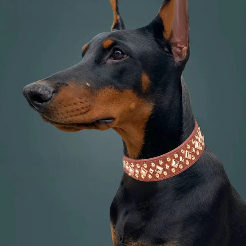 Rivet leather dog collar with golden rivet decoration in retro style, available in black brown grey green and red sizes XS to XL