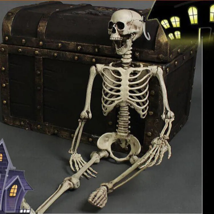 170cm tall plastic skeleton prop with detailed skull and bone structure