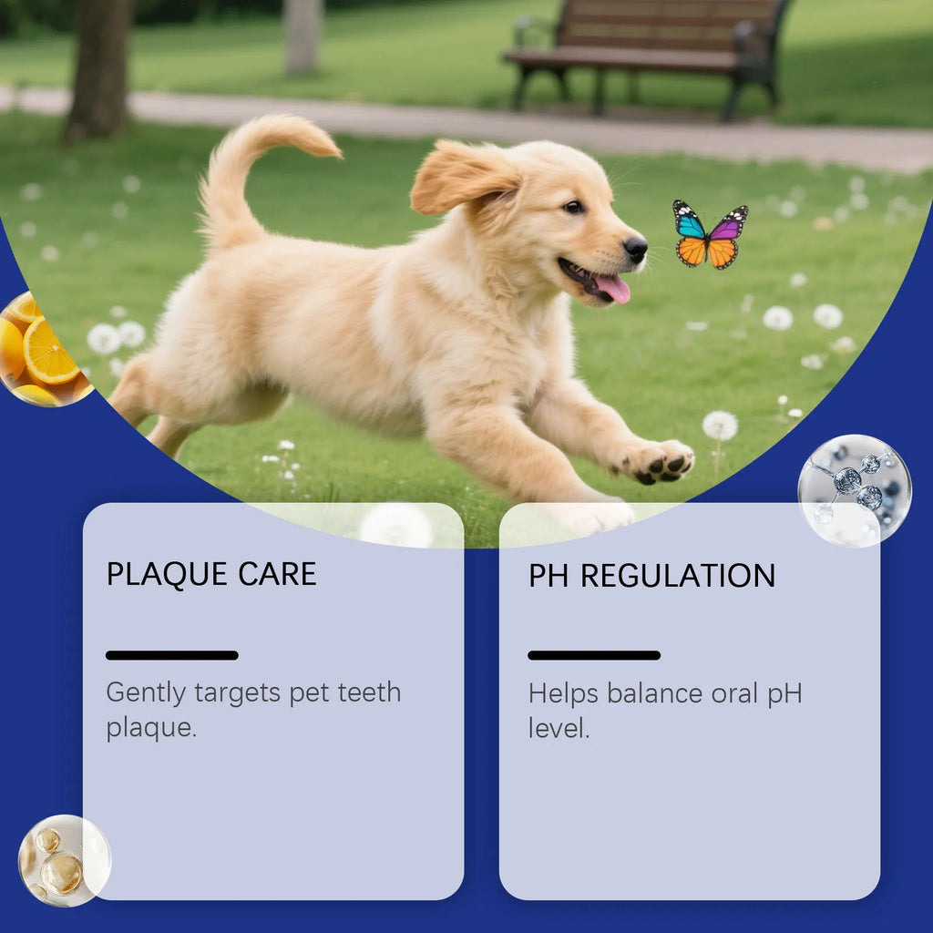 100g pet tooth cleaning powder tub for dog and cat oral hygiene with listed ingredients
